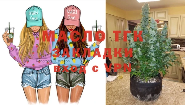 тгк Алексин