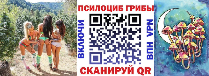KRAKEN ссылки Грайворон Псилоцибиновые грибы мицелий